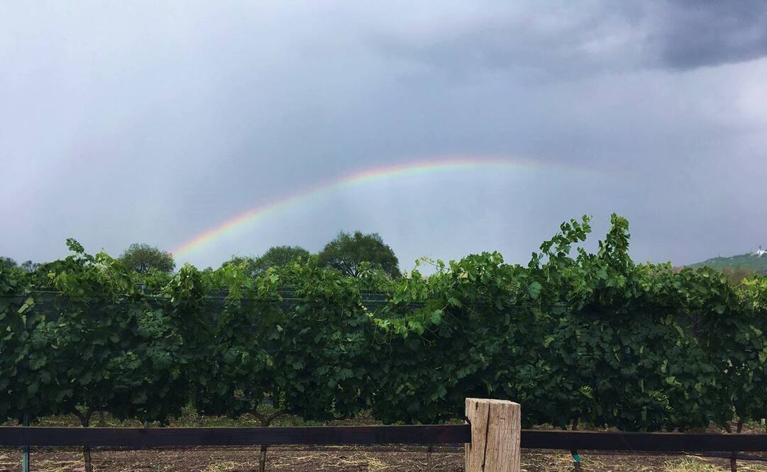 Fotos: Raquel del Castillo