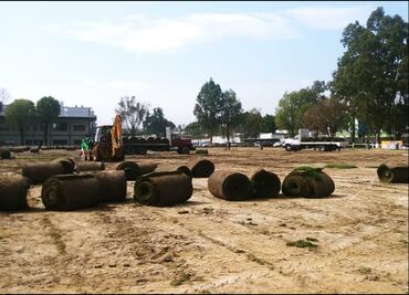Nuevo pasto del Azteca fue tratado igual que el anterior