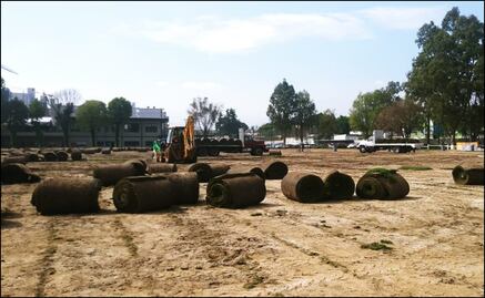 Nuevo pasto del Azteca fue tratado igual que el anterior