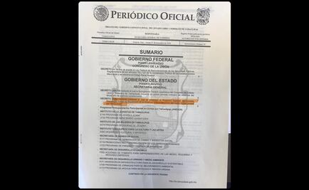 Unidos por Tamaulipas, decreto debidamente sustentado: diputada Brenda Cárdenas