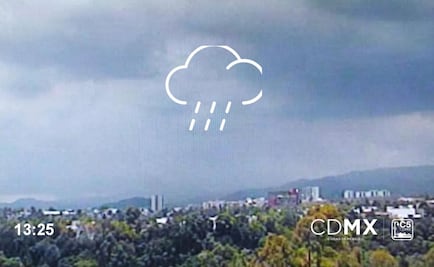 Registran lluvia ligera y moderada en diez delegaciones