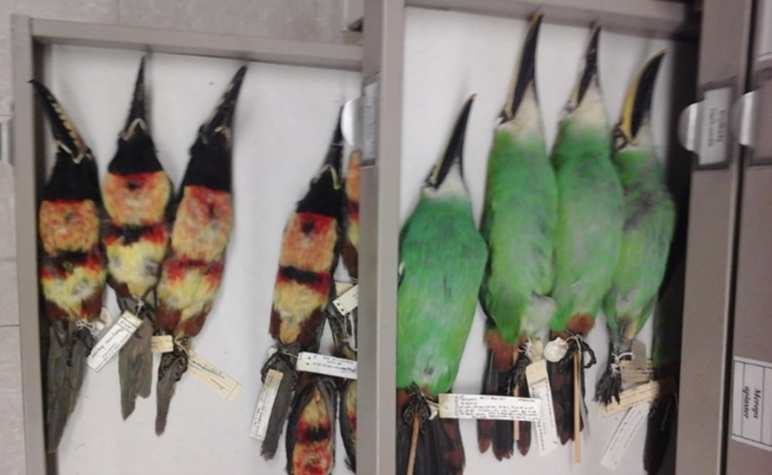 La muerte les sienta bien