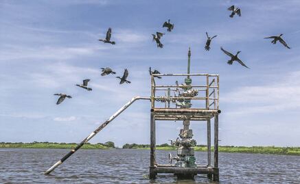 Pemex provoca 313 daños en áreas naturales protegidas