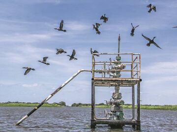 Pemex provoca 313 daños en áreas naturales protegidas