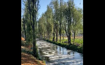 Tras sismo de hoy, burbujean los canales de Tláhuac y Xochimilco