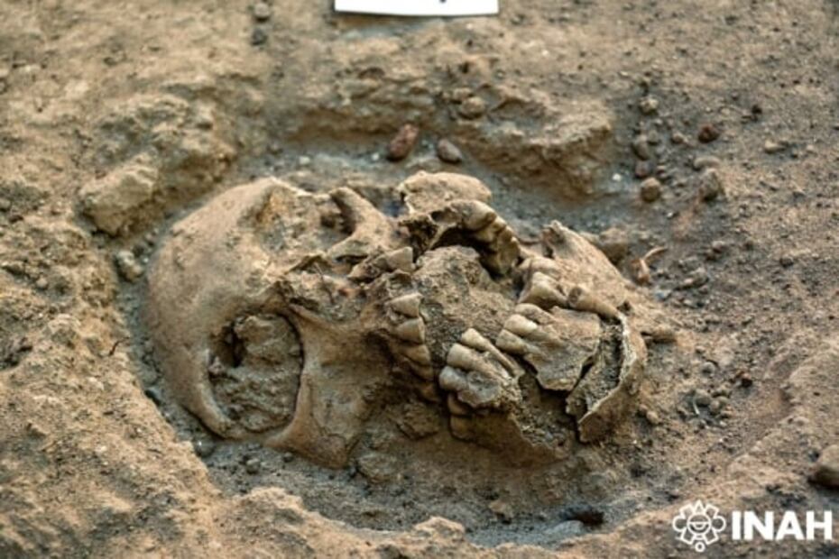 Cementerio Chapultepec: En FOTOS los restos descubiertos de 21 personas que datan del periodo virreinal