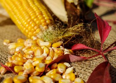 Crean esquites sabor pan de muerto