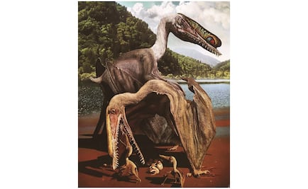 Los pterosaurios volaron como pájaros y no como murciélagos