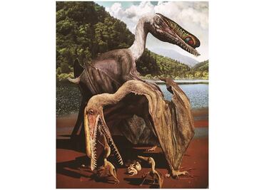 Los pterosaurios volaron como pájaros y no como murciélagos