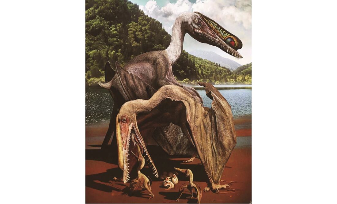 Un nuevo estudio apunta que estos dinosaurios tenían un vuelo más aviar. Foto: EFE/Marcelo Say