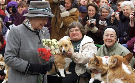 Los corgis de Isabel II, en plena forma a un año de la muerte de la monarca