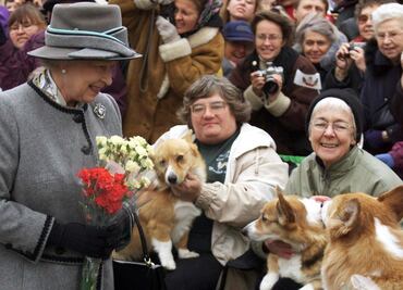 Los corgis de Isabel II, en plena forma a un año de la muerte de la monarca