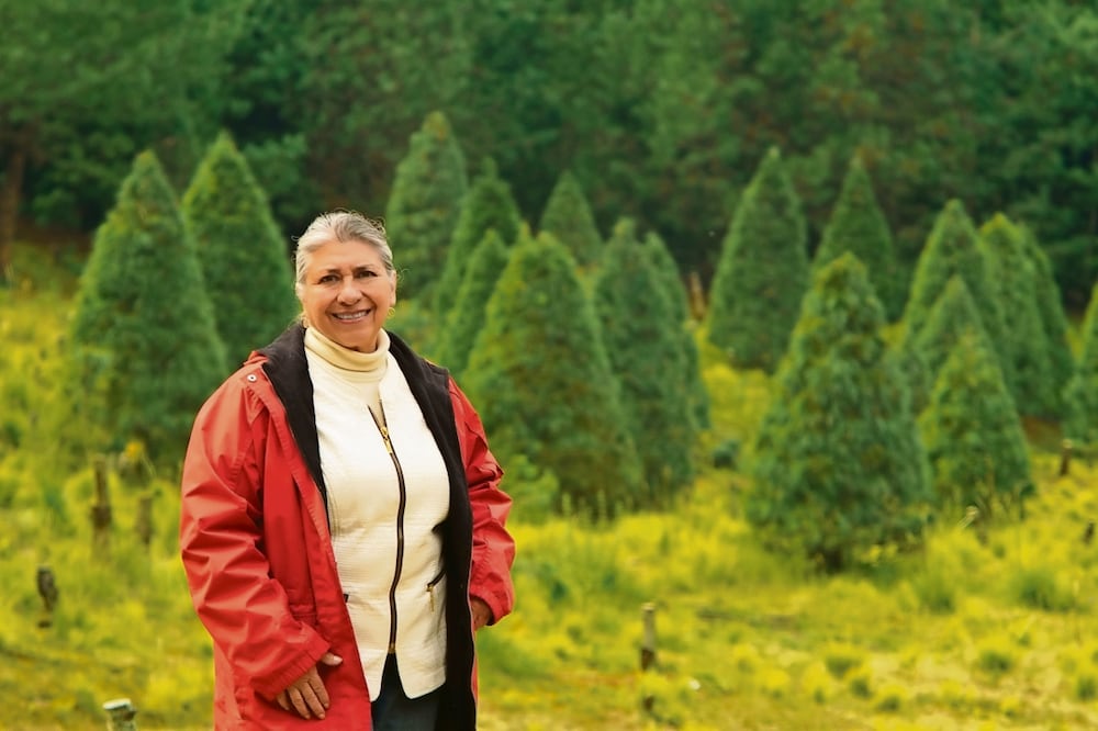 Miriam Corona, es productora de pinos de Navidad desde hace más de 50 años. Foto: de OSMAR ALVARADO. EL UNIVERSAL