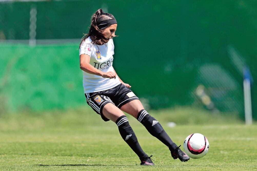 “Incomparable” iniciativa