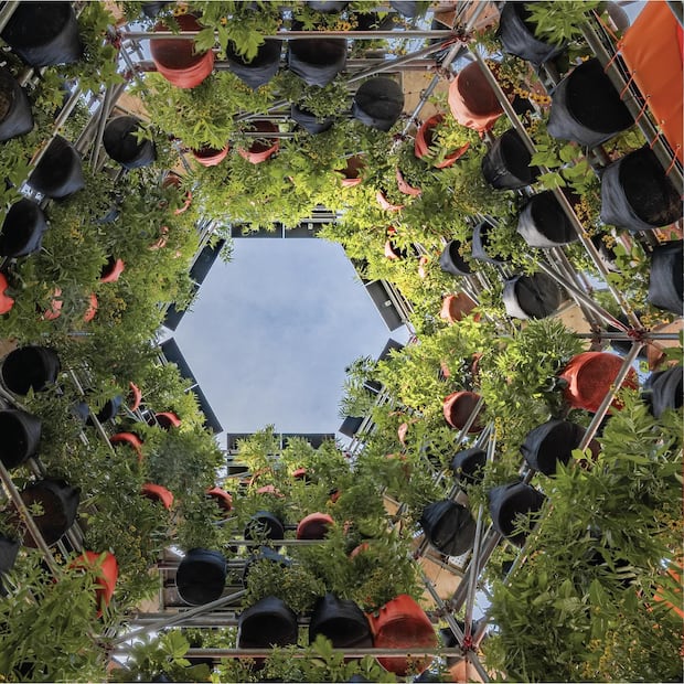 Polinature. Fuente: Instagram @ecosistemaurbano