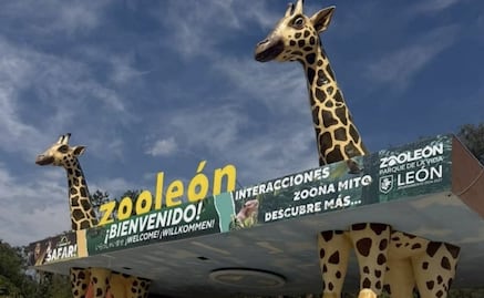 Profepa ordena cierre de Zoológico de León por segunda ocasión; suspenden exhibición de especies