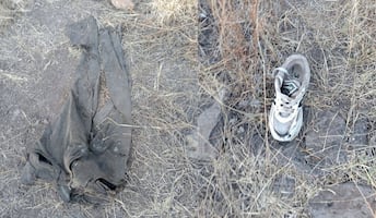 Localizan cuerpos de tres mujeres y restos humanos en Juventino Rosas, Guanajuato; colectivo Luz y Justicia difunde señas de identificación