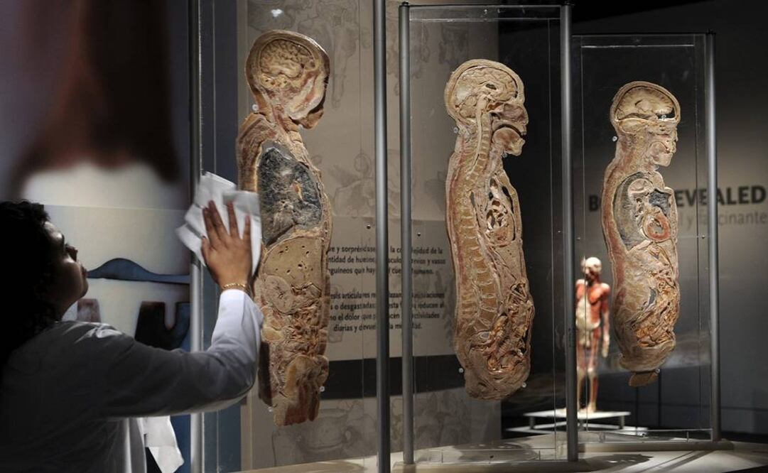 Plantean diseño industrial a la medida de los mexicanos. FOTO: Archivo EFE.