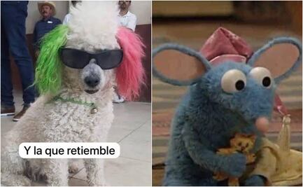 Microsismo en CDMX: Temblores de 2.5 y 2.4 sorprenden a capitalinos con la mejor sacudida de memes