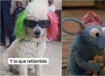 Microsismo en CDMX: Temblores de 2.5 y 2.4 sorprenden a capitalinos con la mejor sacudida de memes