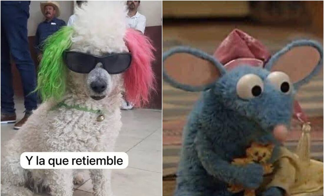 Algunos aseguraron que el temblor se debió a una estrofa del Himno Nacional Mexicano. Foto: X