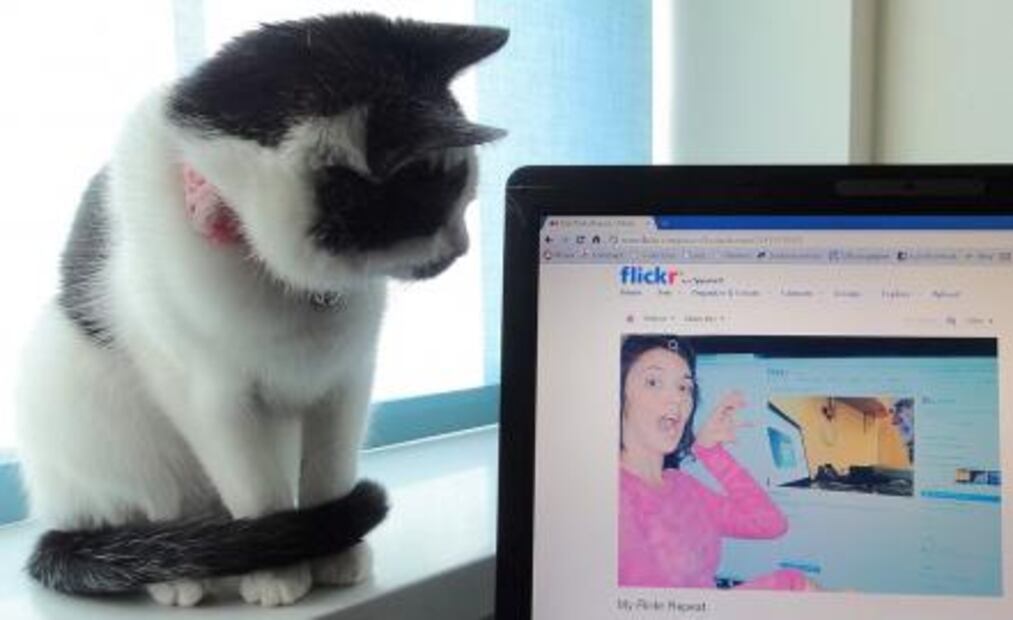 ¿Tienes cuenta en Flickr? Tus fotos podrían desaparecer