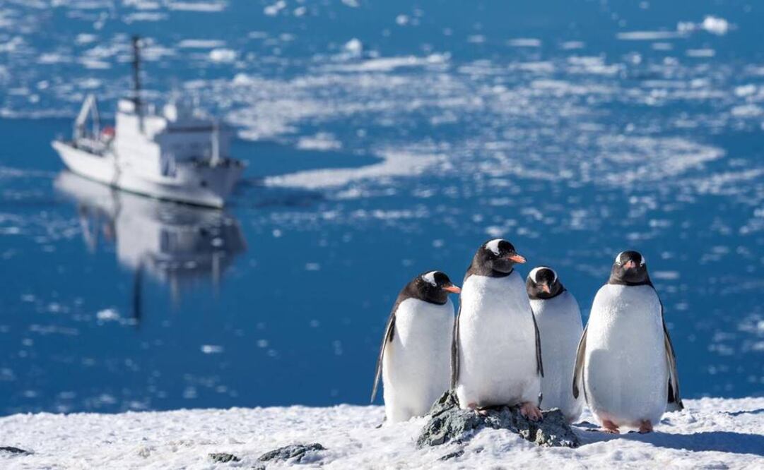 La expedición tiene previsto partir del puerto de Ushuaia, en Argentina, el 27 de marzo del próximo año y navegar por distintas islas del archipiélago Antártico hasta el 6 de abril. FOTO: Oneoceanexpeditions.com