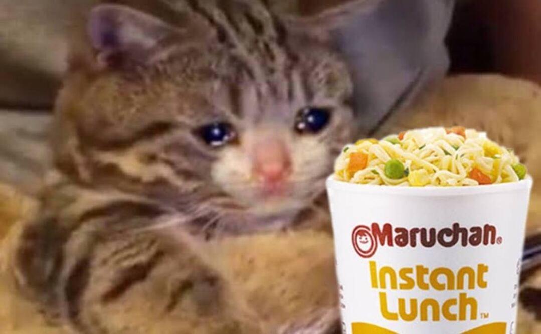 Foto: Twitter @CeAmy2