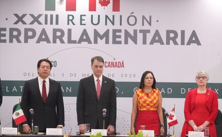 Hasta el momento, tres denuncias por acoso en la Cámara de Diputados: Rojas