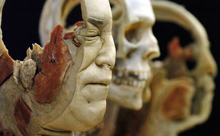 Espectáculo sobre anatomía causa desmayos