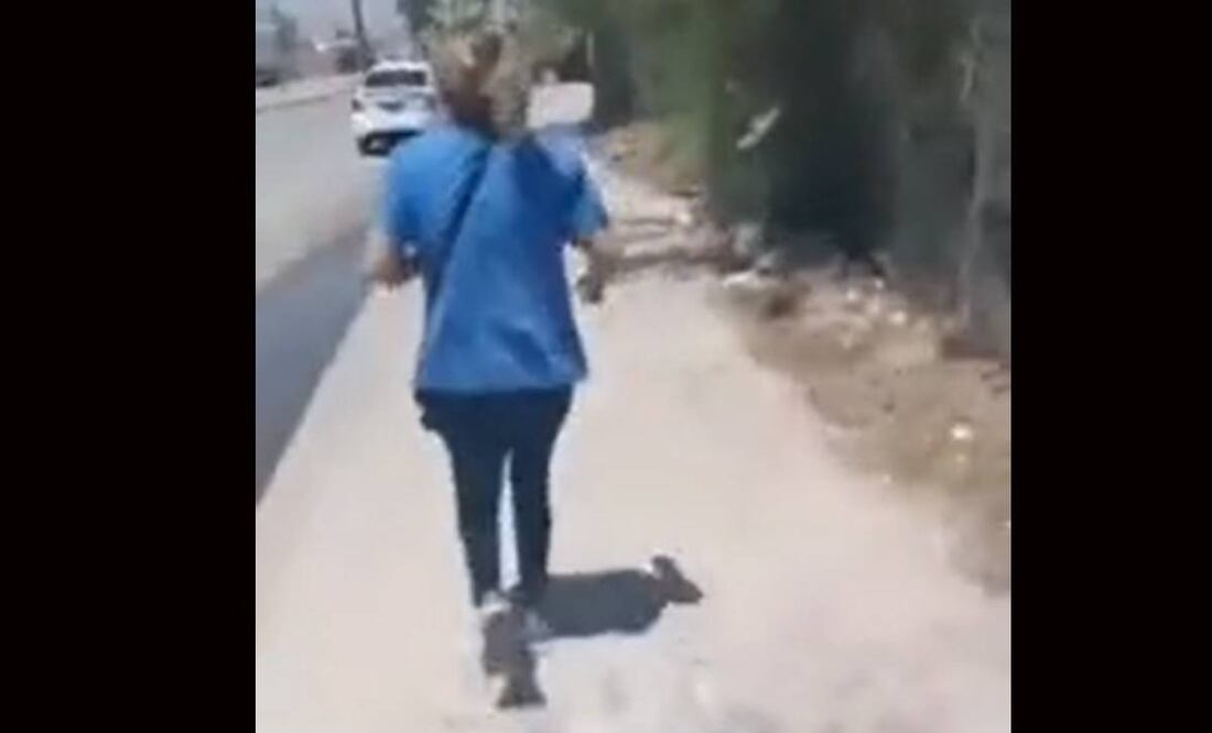 Foto: Captura de pantalla