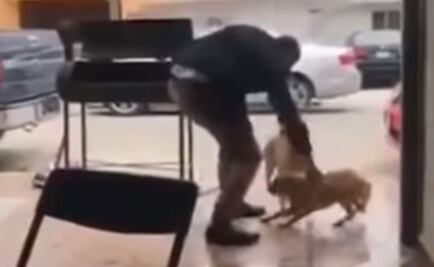 Diputado del PAN pide investigar caso de perro apuñalado en Piedras Negras