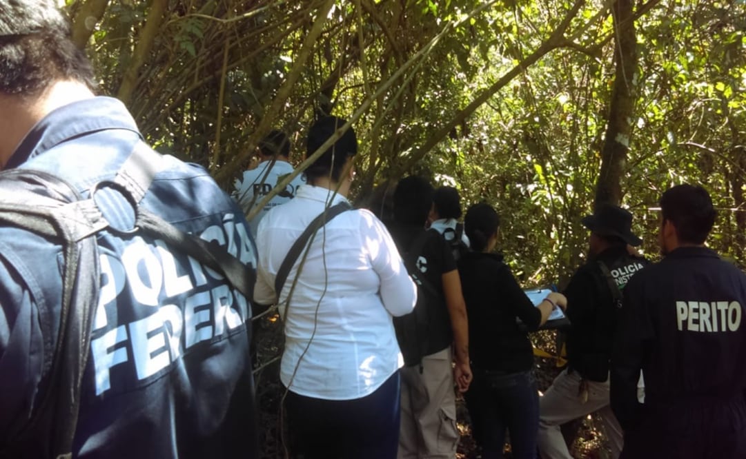 La búsqueda de cuerpos en el cerro Los Arenales inició hoy con la presencia de integrantes del Colectivo de Personas Desaparecidas. Foto: cortesía Agencia SPI