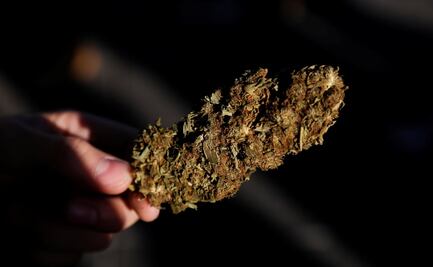 Los cannabinoides pueden tratar la enfermedad de Parkinson, según estudio