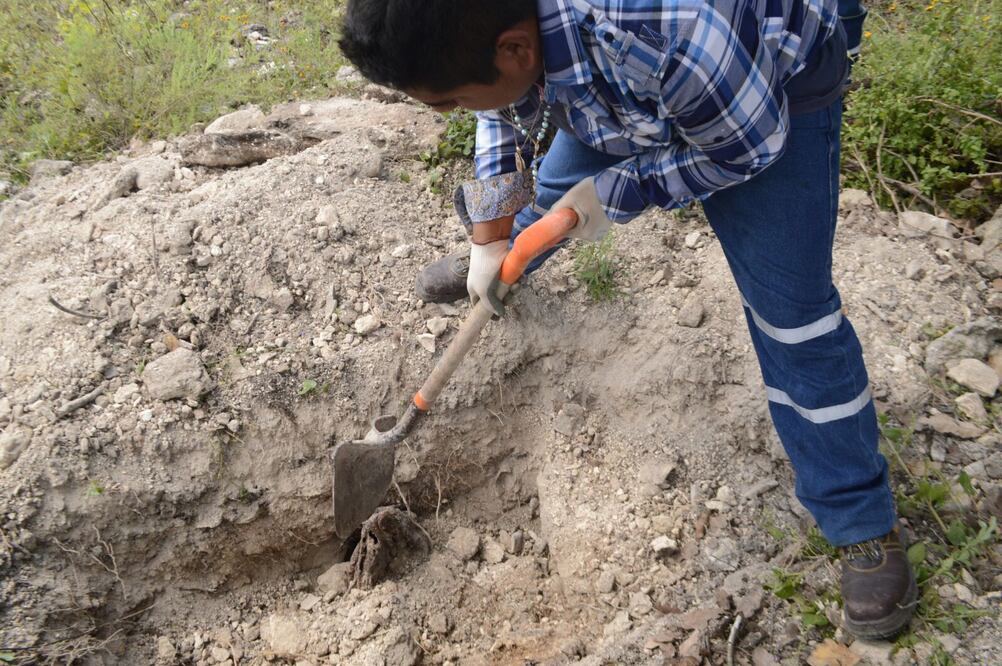 Dassaev Téllez /EL UNIVERSAL