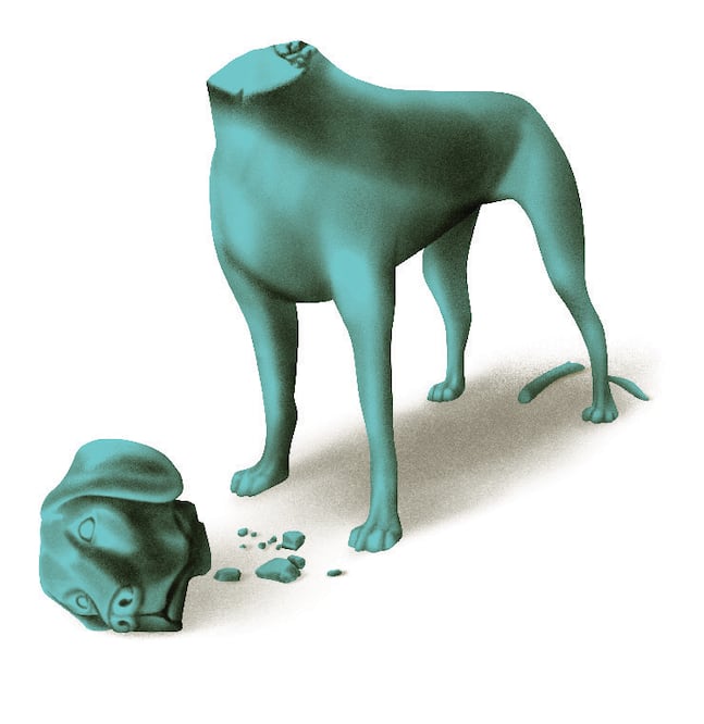 Ilustración: Ani Cortés