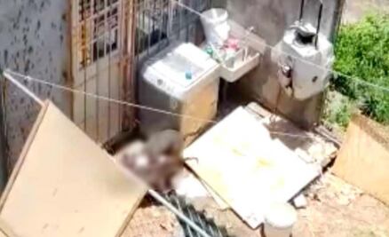 ¿Alimentan a pitbulls con carne de perro? Esto es lo que se sabe de video en Puebla 