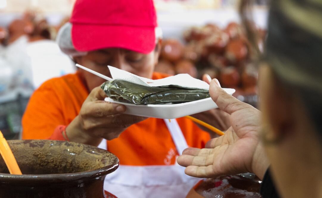 Foto: MOISÉS PABLO /CUARTOSCURO