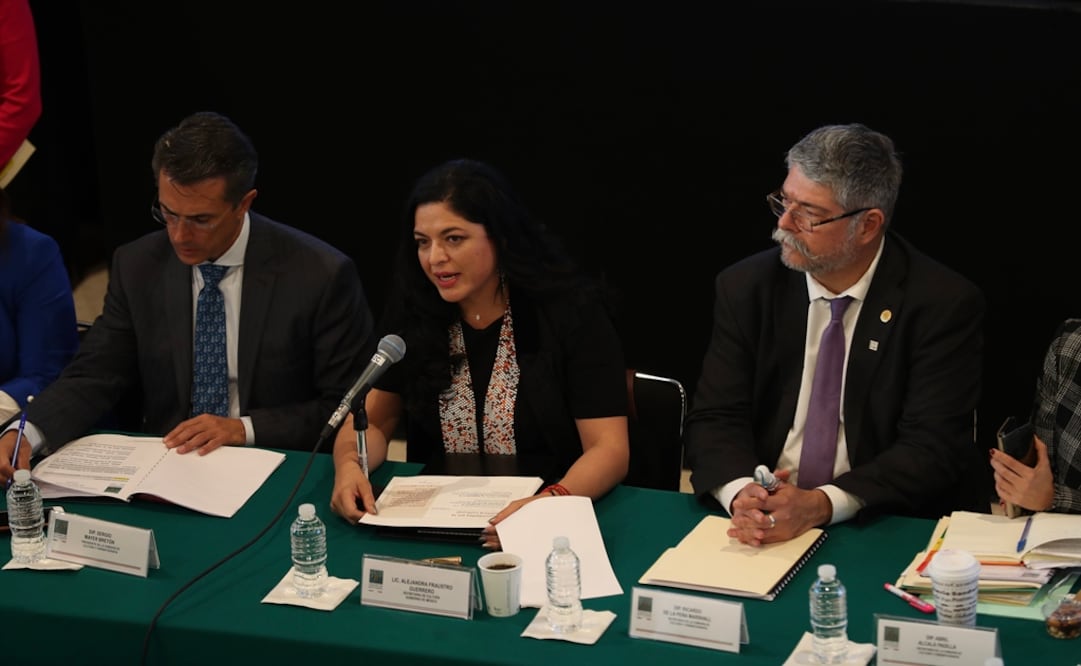 Comparecencia de Alejandra Frausto Secretaria de Cultura en la Cámara de Diputados para explicar el presupuesto. Foto: Juan Carlos Reyes / EL UNIVERSAL