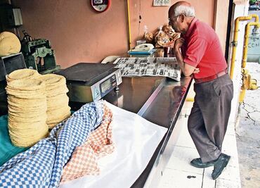 Alistan NOM para prohibir que tortillerías usen maíz transgénico