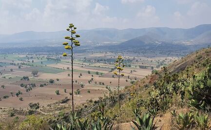 El arraigado huachicol poblano, tratan de combatirlo, pero nunca se fue