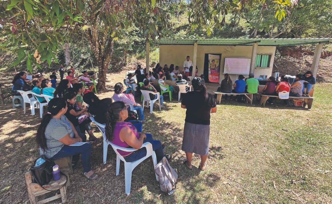 La cooperativa incluye talleres para crear conciencia en los productores sobre el trabajo infantil en el campo. Foto Especial
