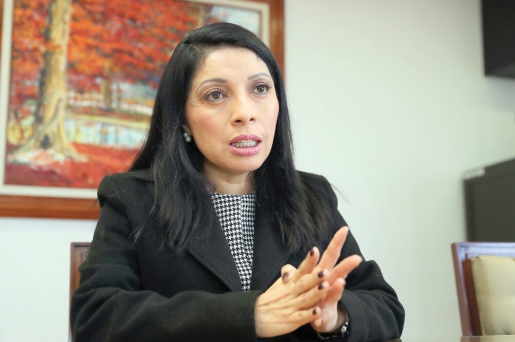 Titular del DIF Ciudad de México, Esthela Damián Peralta. Foto: LUCÍA GODÍNEZ. EL UNIVERSAL