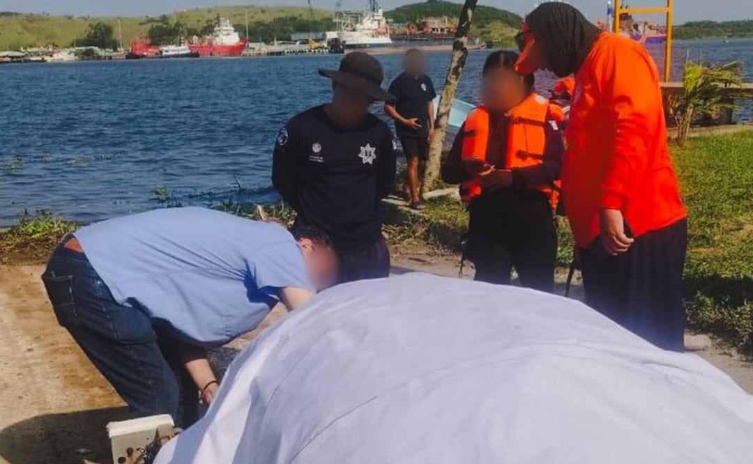 Profepa atiende varamiento de manatí hallado sin vida en Veracruz (10/04/2026). Foto: Especial