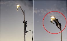 ¿Valentía o riesgo?; joven escala poste de luz para rescatar a gaviota en La Paz