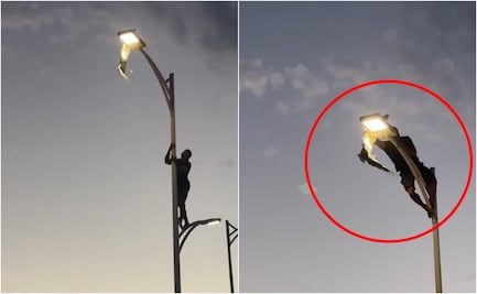 ¿Valentía o riesgo?; joven escala poste de luz para rescatar a gaviota en La Paz