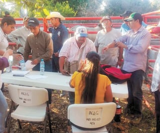 Mercado negro pega a ganaderos del Istmo