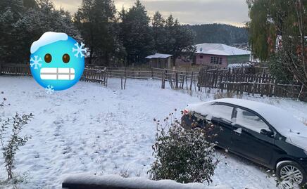 Frente frío 12: Con aguanieve, lluvias, heladas y temperaturas de -10 grados congelará estos estados