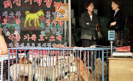 Celebra Norcorea concurso gastronómico de carne de perro