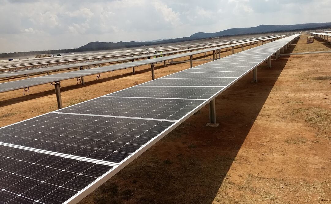 Foto: Archivo. EL UNIVERSAL